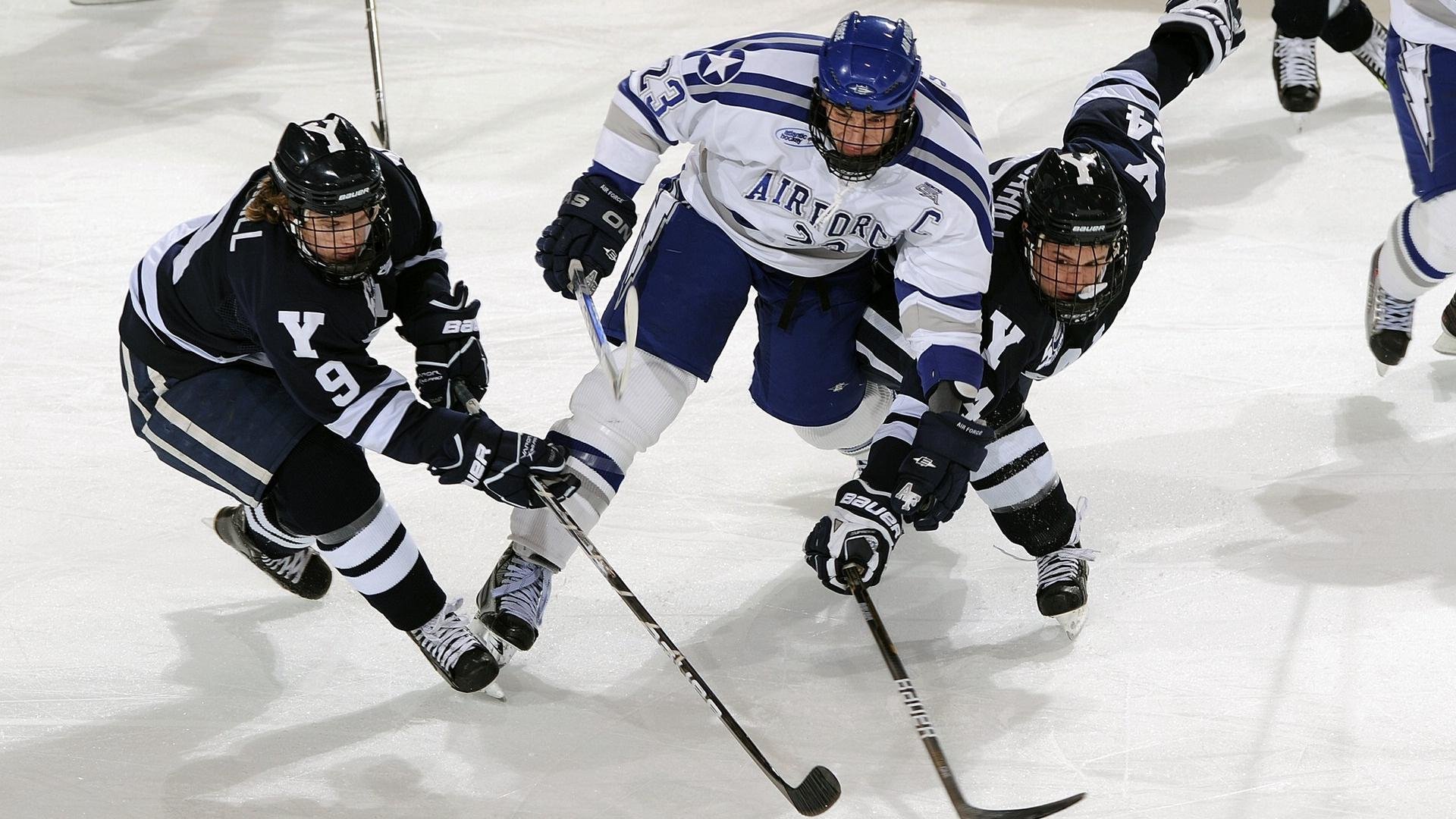 悉尼国王战术调整见成效，悉尼国王队名单